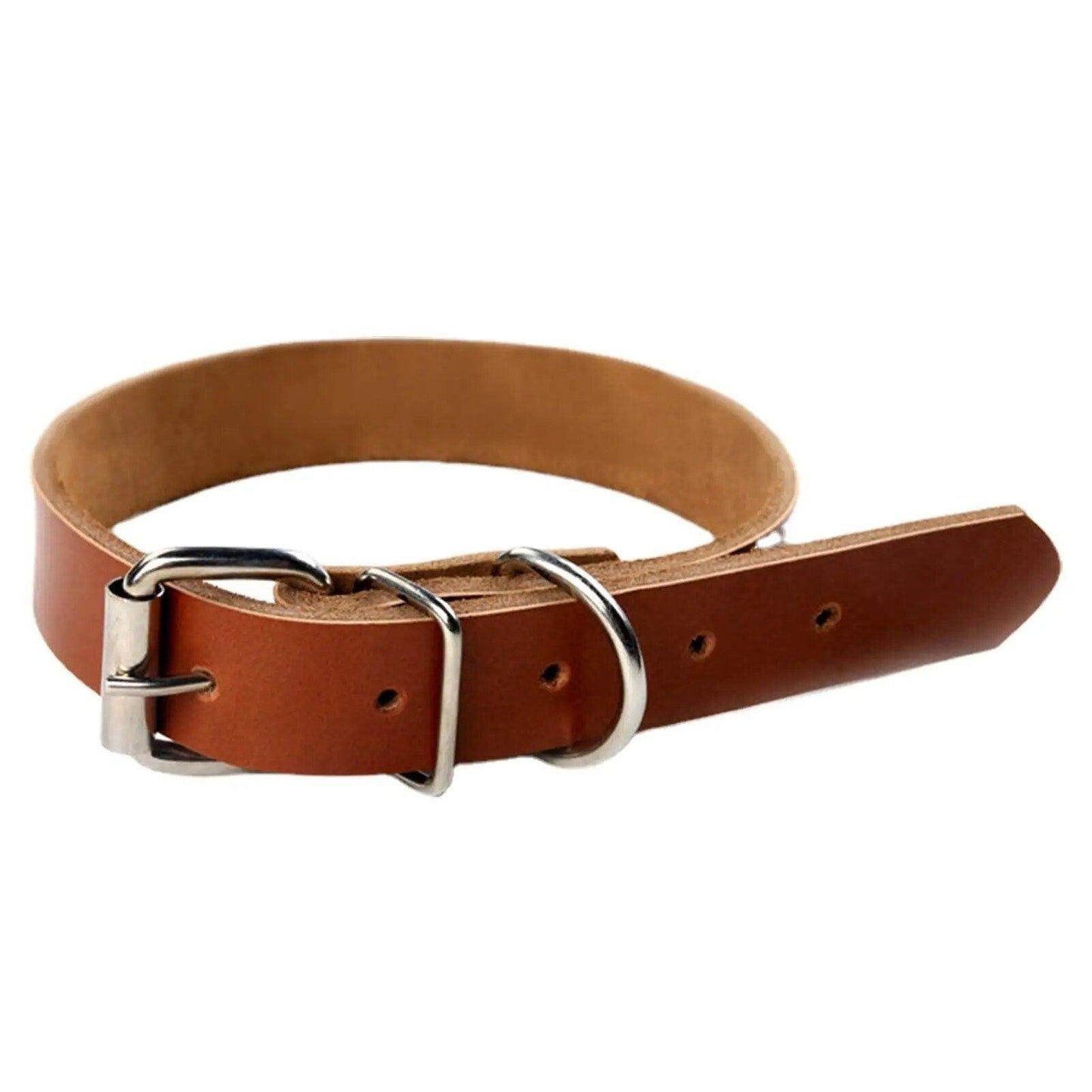 Rolled Leather Dog Collar - Chills Pet Pals