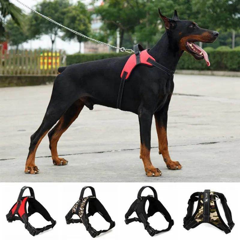 Heavy Duty Dog Harness - Chills Pet Pals