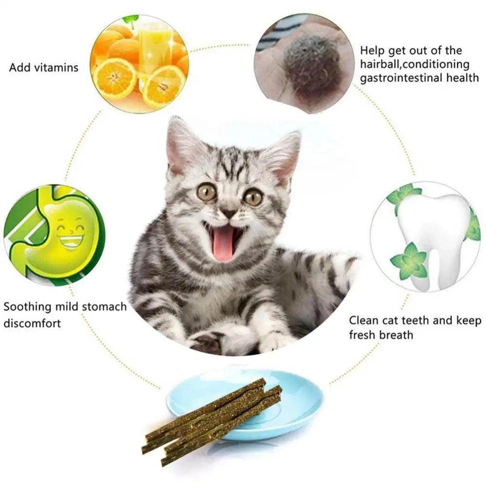 Mint sticks for cats - Chills Pet Pals
