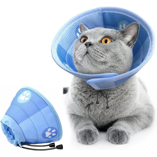 Recovery Cat Collar