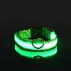 LED Night Dog Collar - Chills Pet Pals