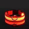 LED Night Dog Collar - Chills Pet Pals