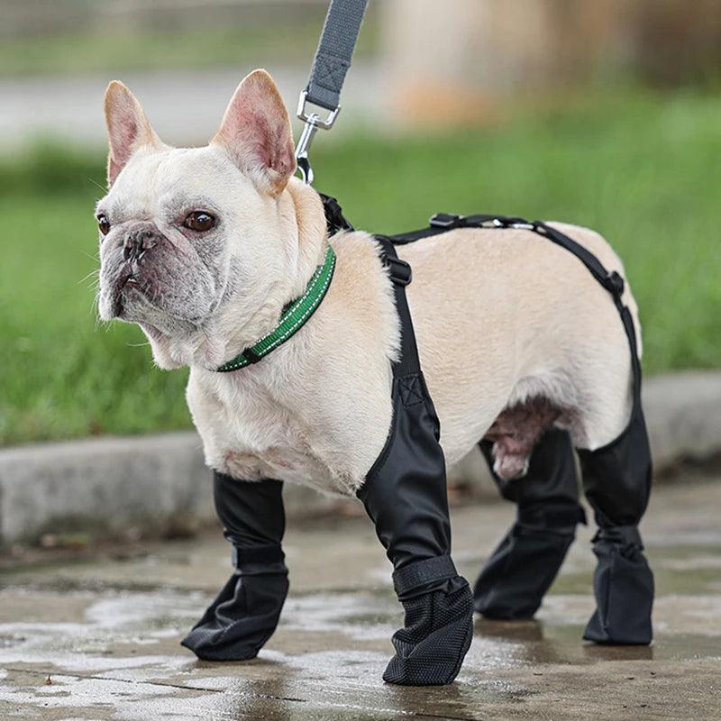 Suspender Boots for Dogs - Chills Pet Pals