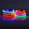 LED Night Dog Collar - Chills Pet Pals
