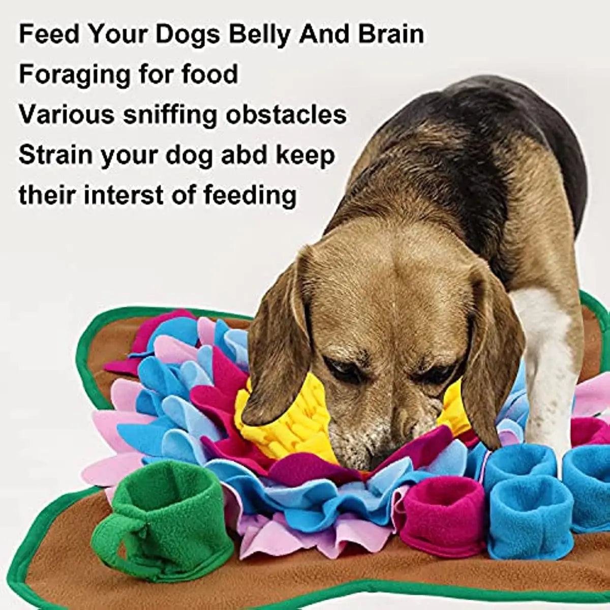 Dog playing with a colorful mat designed for foraging, with text describing its benefits.