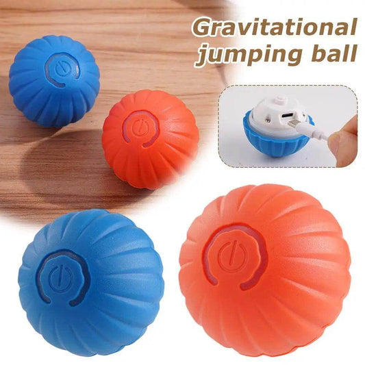 Interactive Toy Ball - Chills Pet Pals