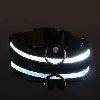 LED Night Dog Collar - Chills Pet Pals
