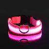 LED Night Dog Collar - Chills Pet Pals