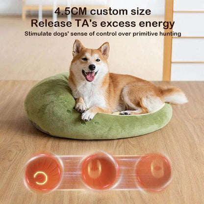 Interactive Toy Ball - Chills Pet Pals