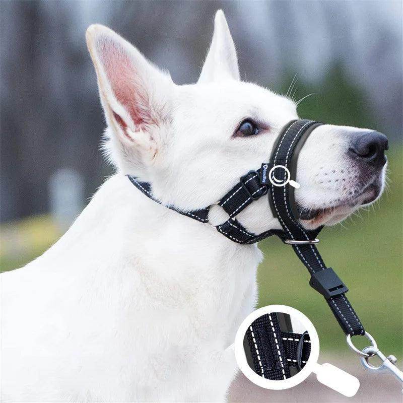 Head Harness Training Leash - Chills Pet Pals
