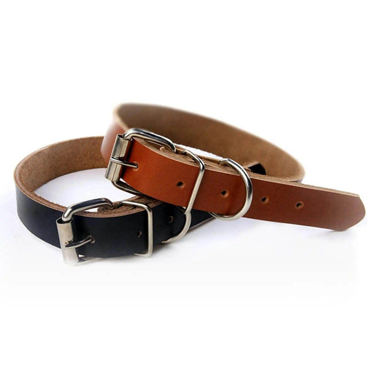 Rolled Leather Dog Collar - Chills Pet Pals