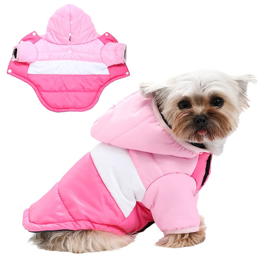 Winter Dog Jacket