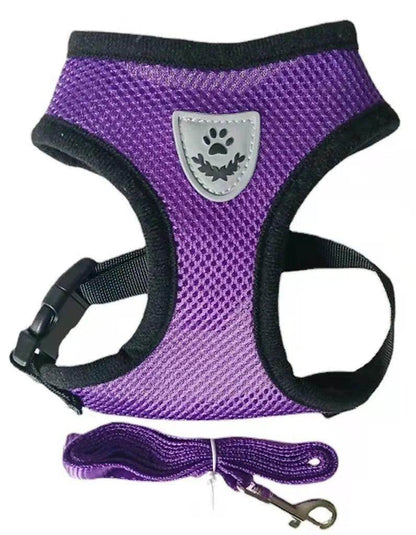 Cat Harness plus Leash - Chills Pet Pals