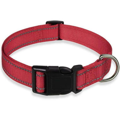 Reflective Dog Collar - Chills Pet Pals