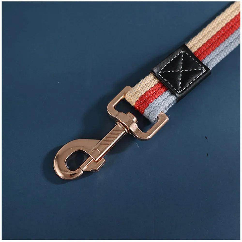 Nylon Dog Leash - Chills Pet Pals