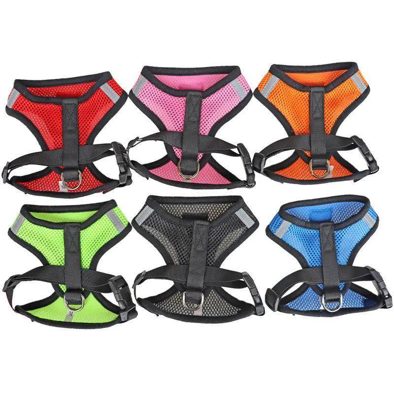 Cat Harness plus Leash - Chills Pet Pals
