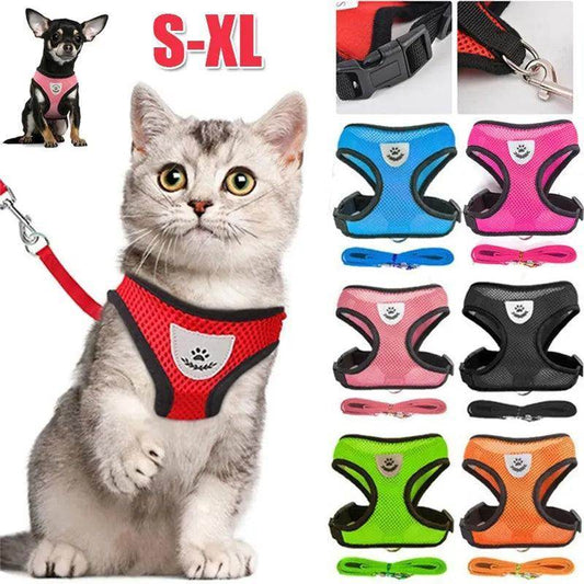 Cat Harness plus Leash - Chills Pet Pals