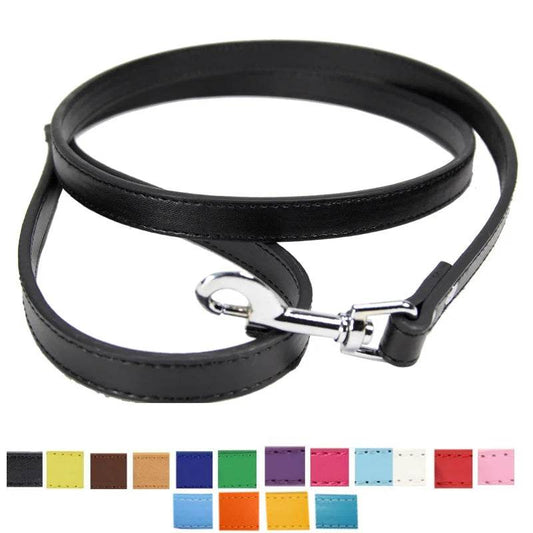 Leather Dog Leash - Chills Pet Pals