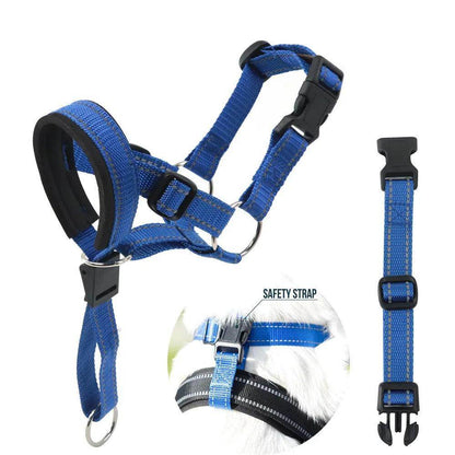 Head Harness Training Leash - Chills Pet Pals