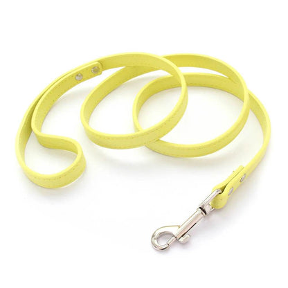 Leather Dog Leash - Chills Pet Pals