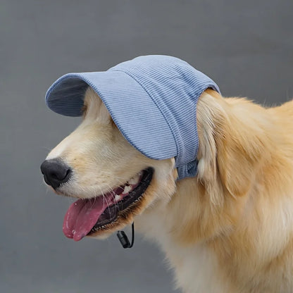Dog Baseball Cap