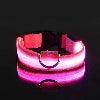 LED Night Dog Collar - Chills Pet Pals