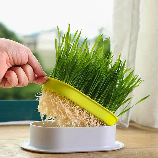Cat Grass Growing Tray - Chills Pet Pals