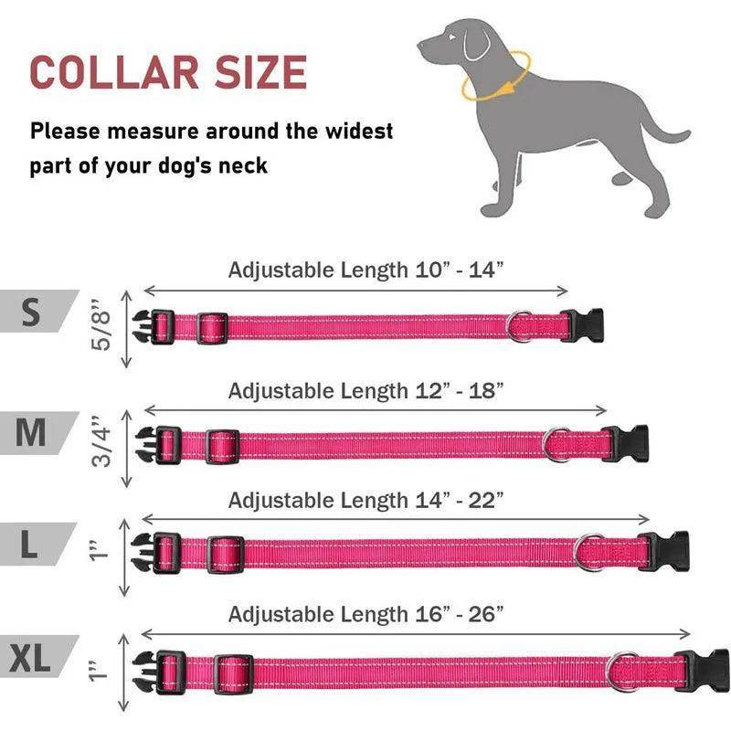 Reflective Dog Collar - Chills Pet Pals