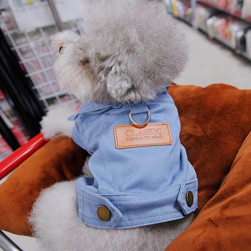 Spring Demin Jacket - Chills Pet Pals