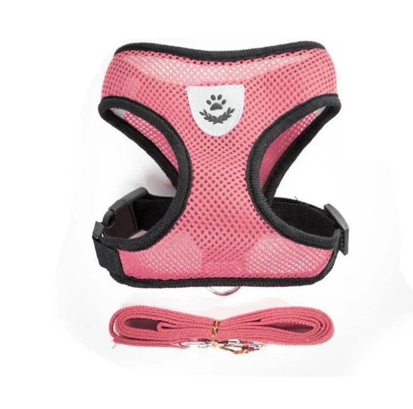 Cat Harness plus Leash - Chills Pet Pals