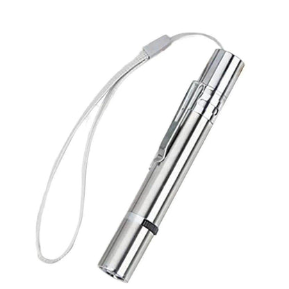 Rechargeable USB Laser Light Pen - Chills Pet Pals