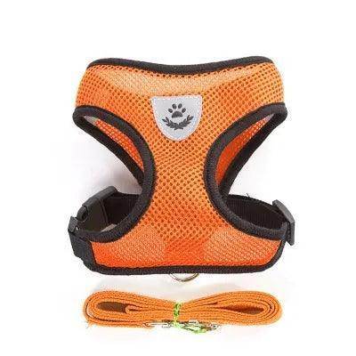 Cat Harness plus Leash - Chills Pet Pals