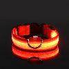 LED Night Dog Collar - Chills Pet Pals
