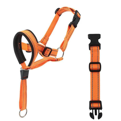 Head Harness Training Leash - Chills Pet Pals