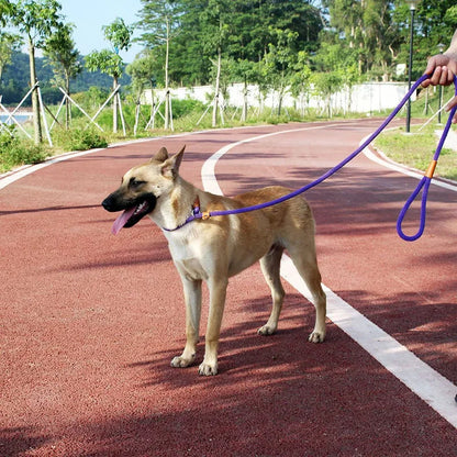 Slip rope lead leash