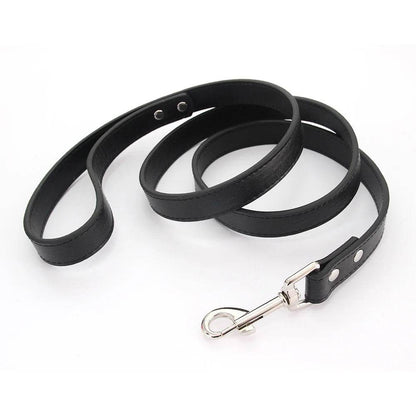 Leather Dog Leash - Chills Pet Pals