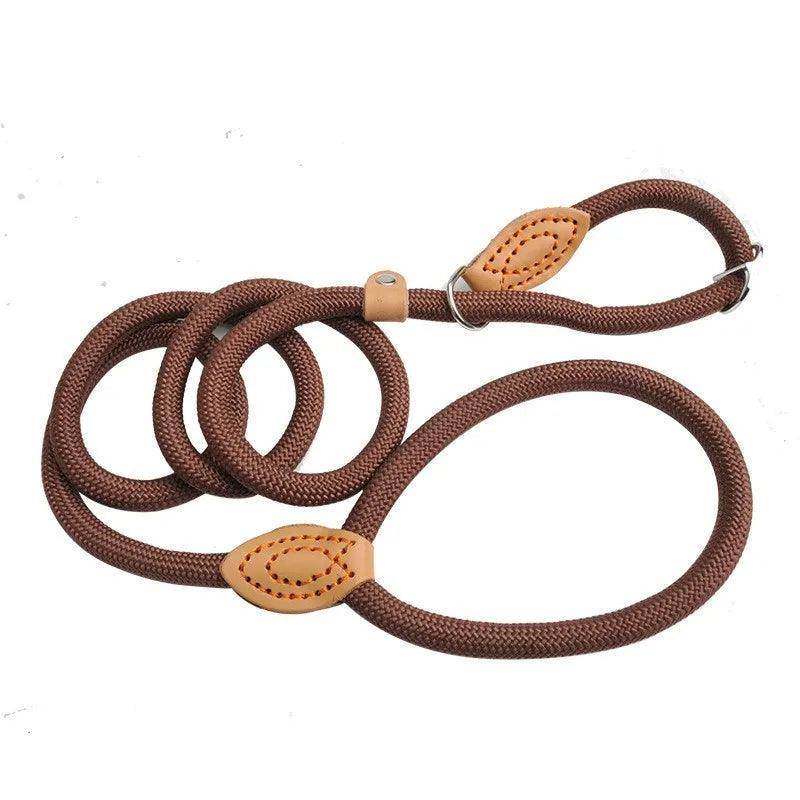 Dog Slip Rope Leash - Chills Pet Pals