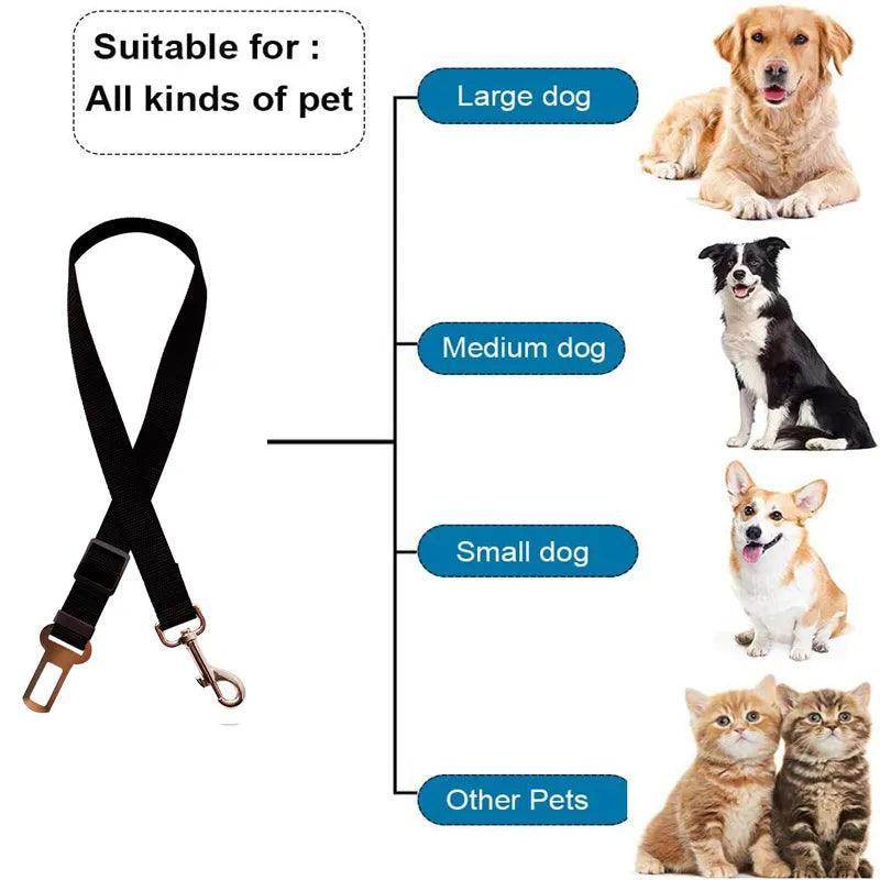 Seat Belt for your Pet - Chills Pet Pals