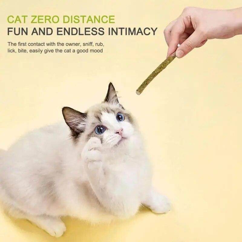 Mint sticks for cats - Chills Pet Pals
