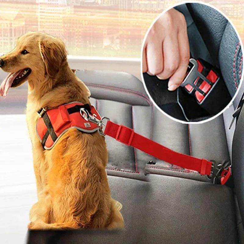 Seat Belt for your Pet - Chills Pet Pals