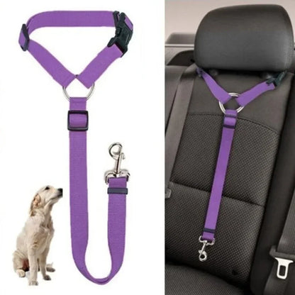 Purple dog harness and leash set with a car seat clip on a white background.