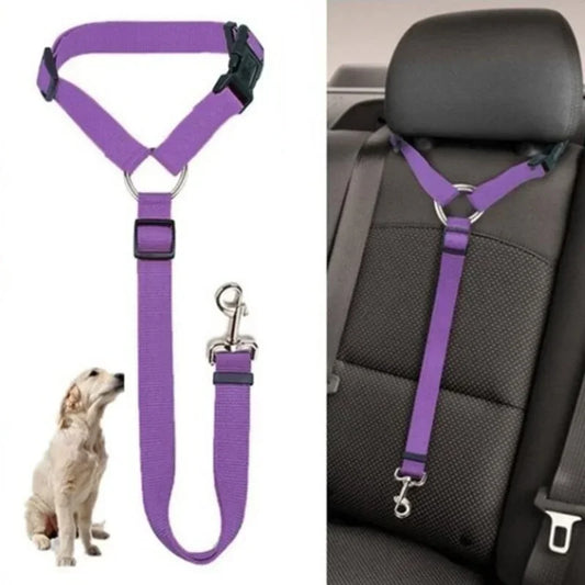 Purple dog harness and leash set with a car seat clip on a white background.