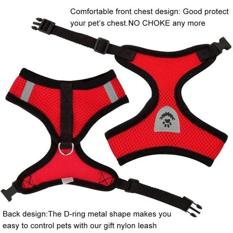 Cat Harness plus Leash - Chills Pet Pals