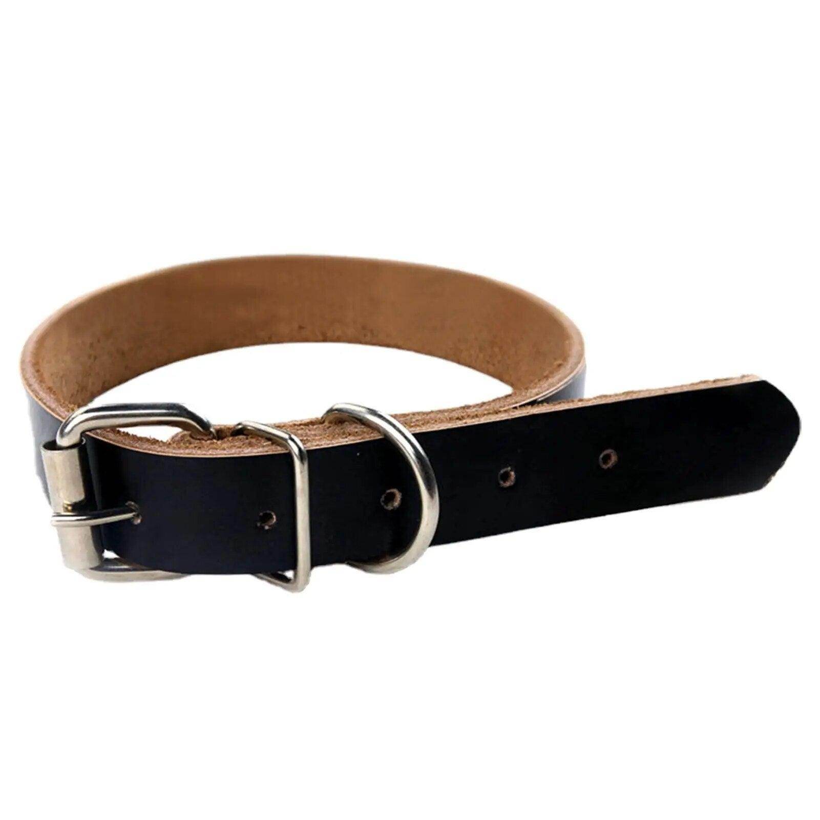 Rolled Leather Dog Collar - Chills Pet Pals