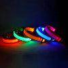 LED Night Dog Collar - Chills Pet Pals