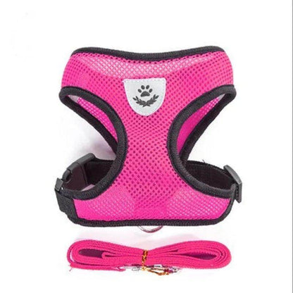 Cat Harness plus Leash - Chills Pet Pals