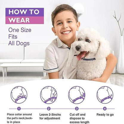 Pet Calming Collar - Chills Pet Pals
