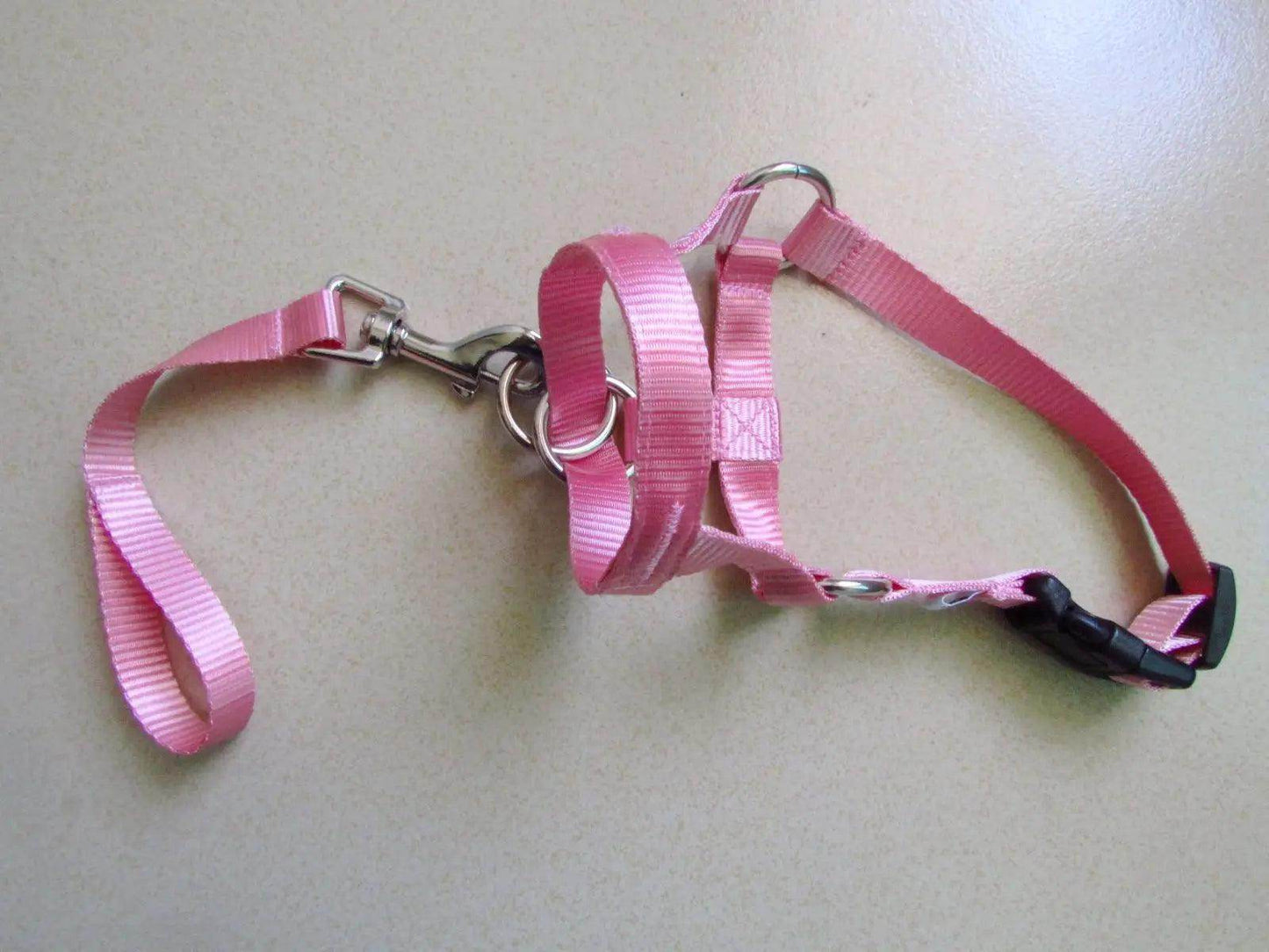 Head Harness Training Leash - Chills Pet Pals