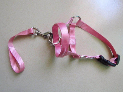 Head Harness Training Leash - Chills Pet Pals