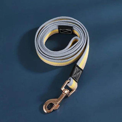 Nylon Dog Leash - Chills Pet Pals